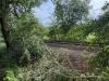 photo-2026-05-31-18-10-50-2-1