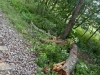 photo-2026-05-31-18-10-51-1